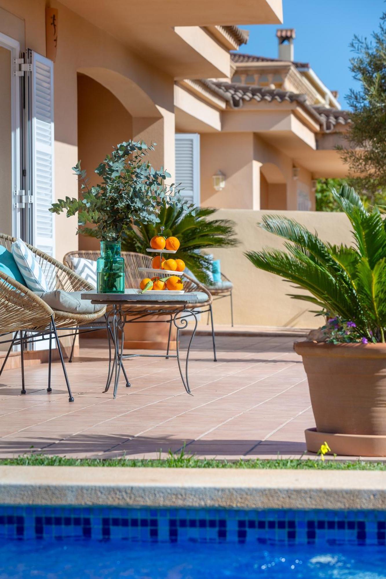 Palmera Villaer Palma de Mallorca