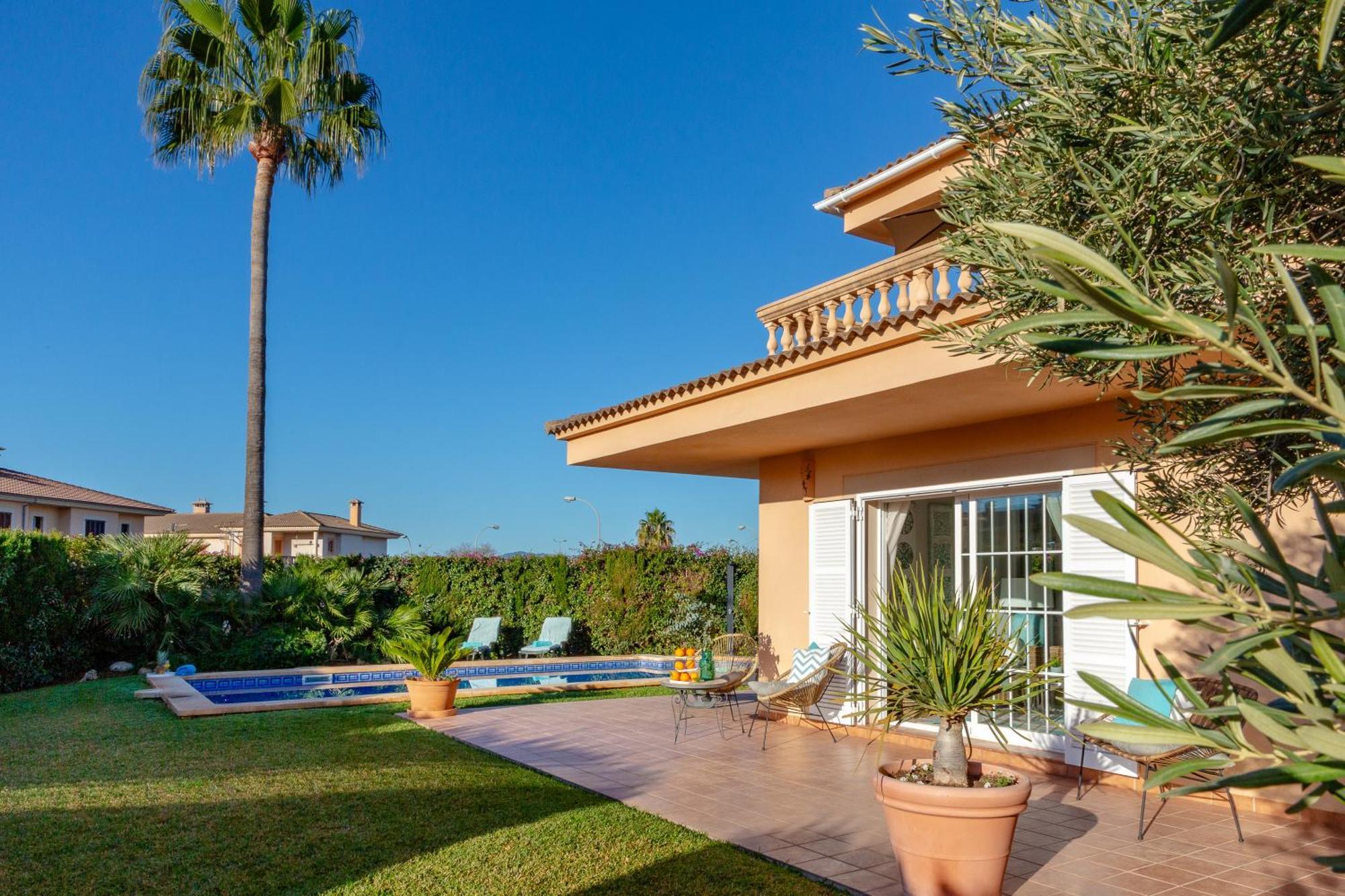 Palmera Villaer *
